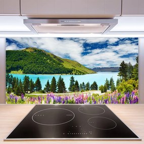Pannello paraschizzi cucina Paesaggio del lago della foresta di montagna 100x50 cm