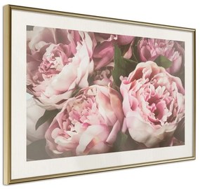 Poster  Pastel Peonies  Cornice Quadri Cornice d'oro con passe-partout, Larghezza x Altezza Home decor 90x60