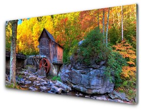 Pannello paraschizzi cucina Mulino ad acqua della foresta d'autunno 100x50 cm