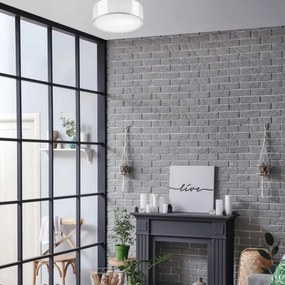 Plafoniera DANTE 1xE27/60W/230V diametro 26 cm cromo lucido