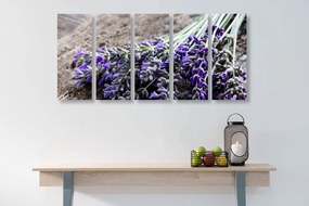 Quadri 5 pezzi – Bouquet di lavanda
