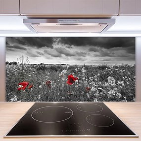 Pannello cucina paraschizzi Paesaggio di fiori di prato 100x50 cm