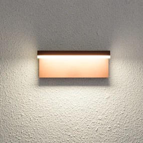 Brilagi - Applique da esterno LED TESSI LED/10W/230V marrone IP54