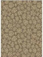 Cole & Son Tapete Savanna Shell - 119/4020