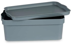 Scatola portaoggetti con coperchio Grigio Plastica 6 L (21,5 x 11 x 32 cm) (12 Unità)