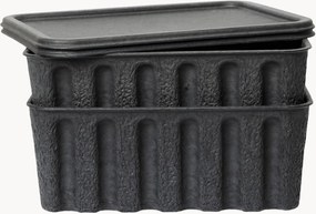 Set di 2 scatole portaoggetti in polpa di cellulosa Pulp