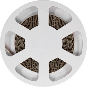 Striscia LED 24V 144W/m Luce Gialla - IP54 - 5 metri