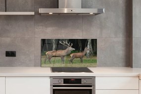 Rivestimento parete cucina Foresta di cervi 100x50 cm