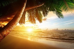 Carta da parati – Alba sulla spiaggia caraibica