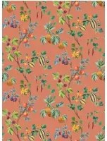 Osborne & Little Carta da parati Orchard - Terracotta