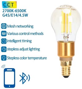 Lampadina LED FILAMENT G45 E14/4,5W/230V 2700-6500K - Aigostar