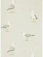 Möwen Tapete Shore Birds von Sanderson - Driftwood