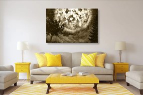 Stampa su tela – Luna luminosa nel cielo notturno in versione seppia