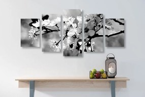Quadri 5 pezzi – Fiore di ciliegio in bianco e nero