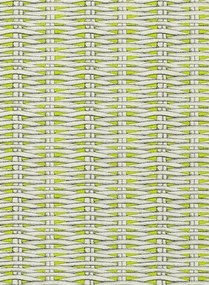 Christian Lacroix Carta da parati Barbade - Lime