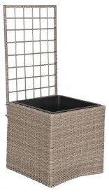 Vaso Home ESPRIT polipropilene Rattan 48 x 52 x 114 cm