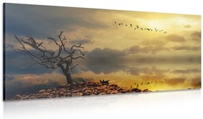 Quadro su tela – Albero secco