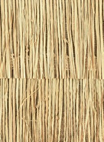 CMO Paris Carta da parati Raphia Frange - Blond