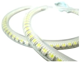 Coppia Angel Eyes Anello Led Semicircolare Diametro 127mm