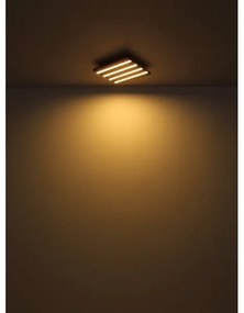 Globo 67347D2 - Plafoniera LED HAYDEN LED/30W/230V 3000K 45x45 cm