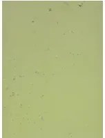 Terrastone Rustique floor - 15kg - 89 - Spring Green