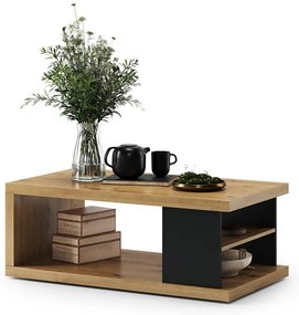 Tavolino da salotto LORA con ripiano e vano contenitore, rovere artisan/nero