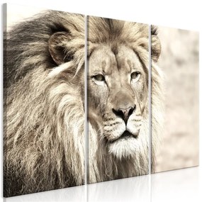 Quadro The King of Beasts (3 Parts) Beige  Colore Nero, Dimensioni e Misure 120x80