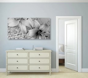Quadro su tela – Gigli su vecchio documento in bianco e nero