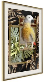 Poster  Composition with Gold Parrot  Cornice Quadri Cornice d'oro con passe-partout, Larghezza x Altezza Home decor 20x30