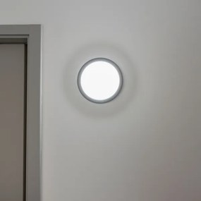 Brilagi - Plafoniera LED da esterno LED/20W/230V IP54 antracite