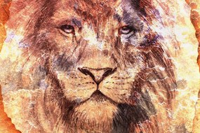 Quadro su tela – Volto del leone
