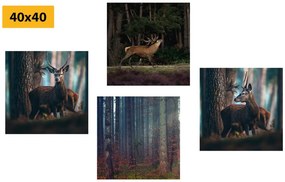 Set di quadri – Incanto degli animali del bosco