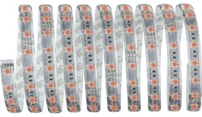 Paulmann 70673 - Striscia LED RGB/40W Dimmerabile MAXLED 3m 230V + telecomando
