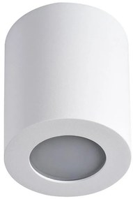 Kanlux 29241 - Plafoniera da bagno SANI 1xGU10/10W/230V IP44 bianco
