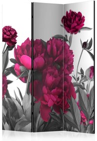 Paravento Lush meadow [Room Dividers]