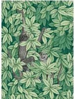 Cole & Son Carta da parati Foglie e Scimmie - Forest Green
