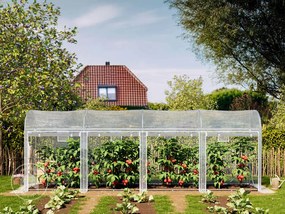 TOOLPORT Serra tunnel per pomodori 1x6m, telo in PE, bianco - (9044)