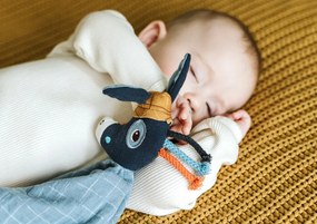 Lilliputiens - Peluche doudou - Asino Ignace