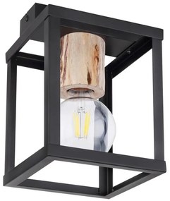 Globo 15476D - Plafoniera HAGAR 1xE27/60W/230V