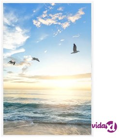 vidaXL Cornici Foto Collage 5 pz per Tavolo Bianche 21x29,7cm MDF