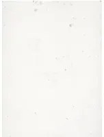 Terrastone rustique - 10 kg - KB7 - Edelweiß - 10 kg