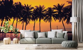 Carta da parati – Tramonto sulle palme