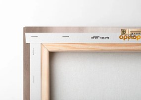 Quadro su tela – Forme astratte No12