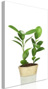 Quadro Plant In Pot (1 Part) Vertical