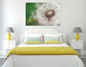 Quadro su tela – Semi di soffione