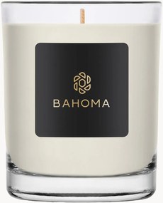 Candela grande fatta a mano in scatola regalo Alchemy (ambra, salvia)