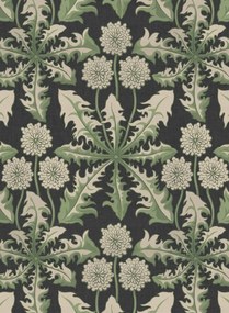 House of Hackney Carta da parati Taraxa - Noir