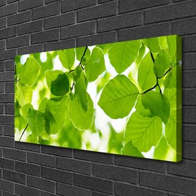 Quadro su tela Foglie di piante naturali 100x50 cm