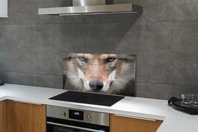 Pannello paraschizzi cucina Occhi di lupo 100x50 cm