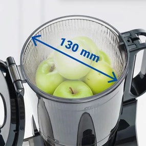 TESLA Electronics SlowJuicer Deluxe - Spremiagrumi lento 250W/230V acciaio inossidabile